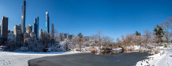 View Gapstow Bridge Winter Central Park New York City Сша — стоковое фото