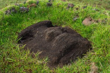 Ahu Vinapu, Doğu Polinezya 'nın Rapa Nui (Paskalya Adası) üzerinde bir arkeolojik sitedir. Şili