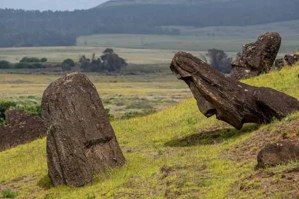 Αγάλματα Moai Στο Ηφαίστειο Rano Raraku Στο Easter Island Rapa — Φωτογραφία Αρχείου