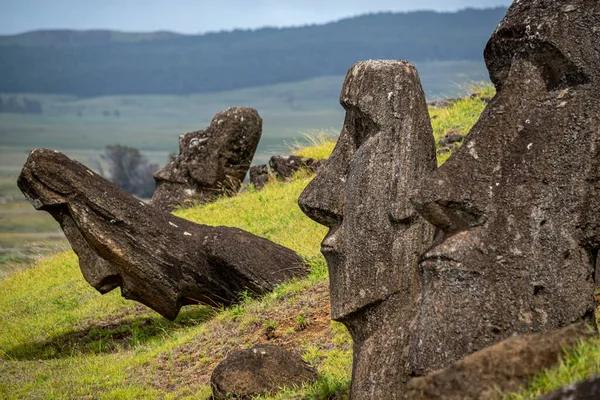 Moai Beelden Bij Rano Raraku Vulkaan Paaseiland Rapa Nui National — Stockfoto