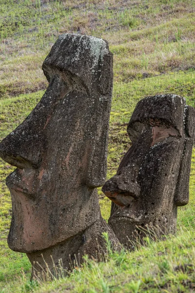 Αγάλματα Moai Στο Ηφαίστειο Rano Raraku Στο Easter Island Rapa — Φωτογραφία Αρχείου