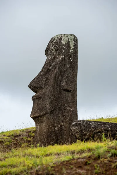 Statue Moai Vulcano Rano Raraku Nell Isola Pasqua Parco Nazionale — Foto Stock