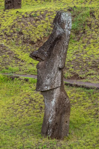 Αγάλματα Moai Στο Ηφαίστειο Rano Raraku Στο Easter Island Rapa — Φωτογραφία Αρχείου