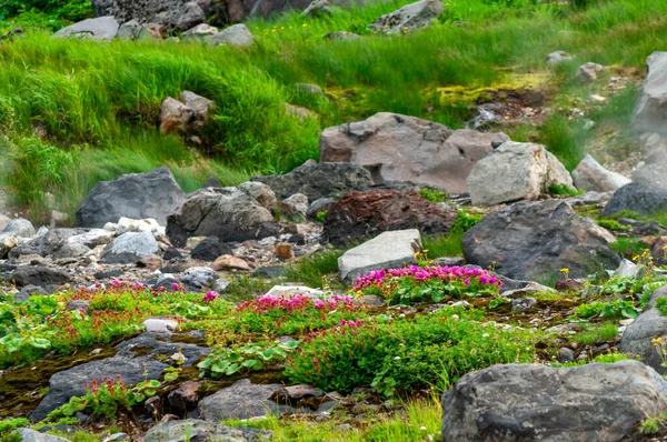 パラムシュル島 クリル諸島 ロシアの山の風景 ユリエフスキー温泉 — ストック写真