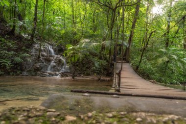 Palenque, Meksika 'daki arkeolojik alanın yakınındaki ormandaki Şelale manzarası