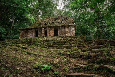 Yaxchilan - Meksika 'nın Chiapas eyaletindeki Olağan macinta nehrinin kıyısında bulunan antik bir Maya şehri..