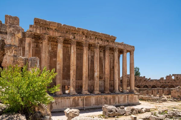 Храм Вакха Руины Древнего Города Баальбек Ливане — стоковое фото