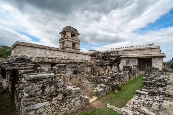 墨西哥帕伦克考古遗址景观 — 图库照片