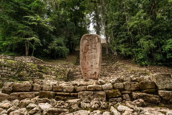 Yaxchilan Μια Αρχαία Πόλη Των Μάγια Που Βρίσκεται Στην Όχθη — Φωτογραφία Αρχείου