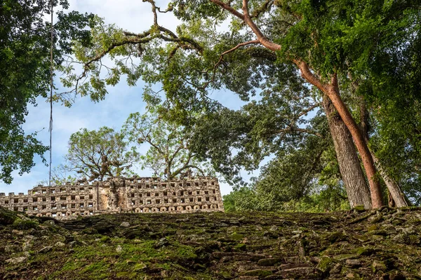 Yaxchilan Ancient Maya City Located Bank Usumacinta River State Chiapas — Stock Photo, Image