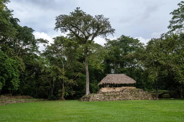 Ruinas Del Periodo Maya Clásico Bonampak Chiapas México — Foto de Stock