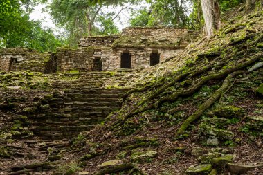 Yaxchilan - Meksika 'nın Chiapas eyaletindeki Olağan macinta nehrinin kıyısında bulunan antik bir Maya şehri..