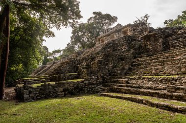 Yaxchilan - Meksika 'nın Chiapas eyaletindeki Olağan macinta nehrinin kıyısında bulunan antik bir Maya şehri..