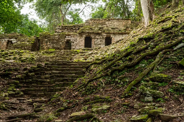 Yaxchilan Μια Αρχαία Πόλη Των Μάγια Που Βρίσκεται Στην Όχθη — Φωτογραφία Αρχείου