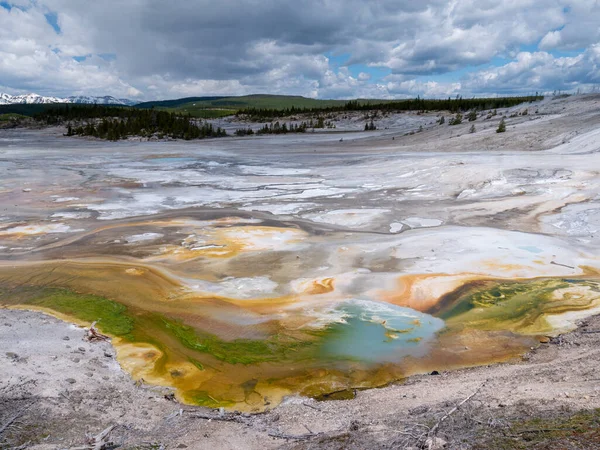 Porcelán Medencében Yellowstone Nemzeti Parkban Amerikai Egyesült Államok — Stock Fotó