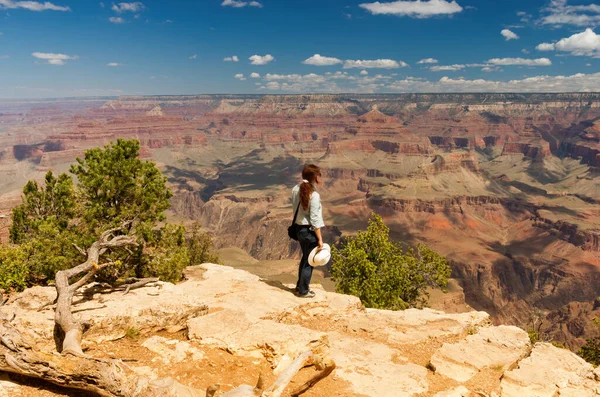 Escursionista Nel Parco Nazionale Del Grand Canyon Stati Uniti — Foto Stock