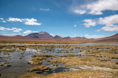 Şili 'nin Atakama çölündeki Quepiaco gölünün manzarası.