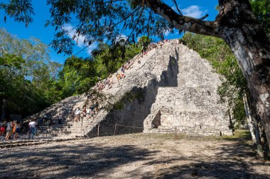 Coba, Meksika - 12.23.2020: Meksika 'nın Coba-Antik Maya kenti. Yucatan Yarımadası arkeolojik alanı olan Coba' daki Nohoch Mul 'un tepesine tırmanan turistler.