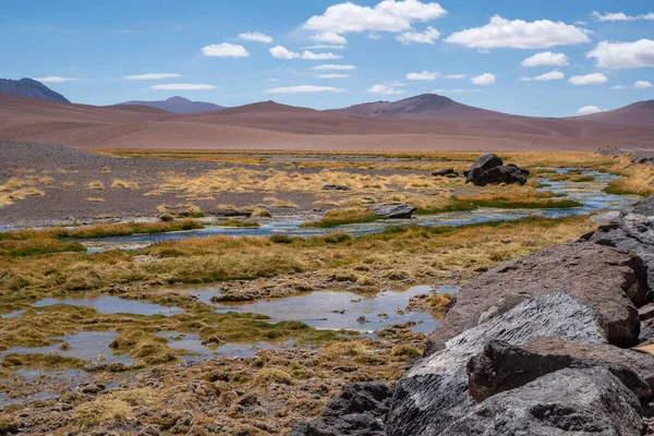 Vista Sulla Laguna Quepiaco Nel Deserto Atacama Cile — Foto Stock