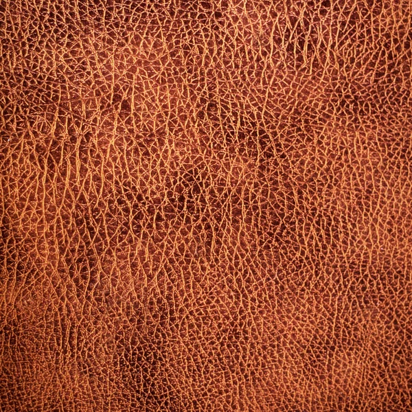 Leather texture — Stock Photo, Image