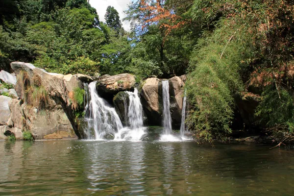 Waterfall in Forest — Stock Photo, Image