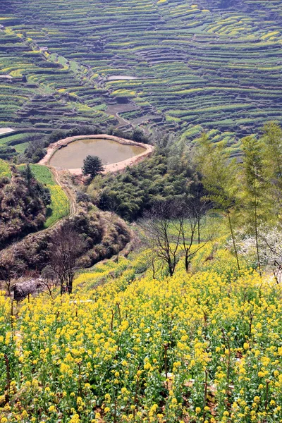 Frühlingslandschaft China — Stockfoto