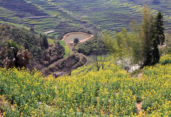 Frühlingslandschaft China — Stockfoto