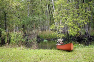 Canoe on a Creek Bank clipart
