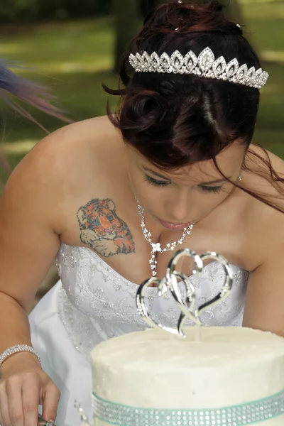 Bride Cuts the Wedding Cake — Stock Photo, Image