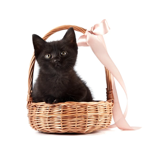 Black kitten in a wattled basket with a ribbon — Stock Photo, Image