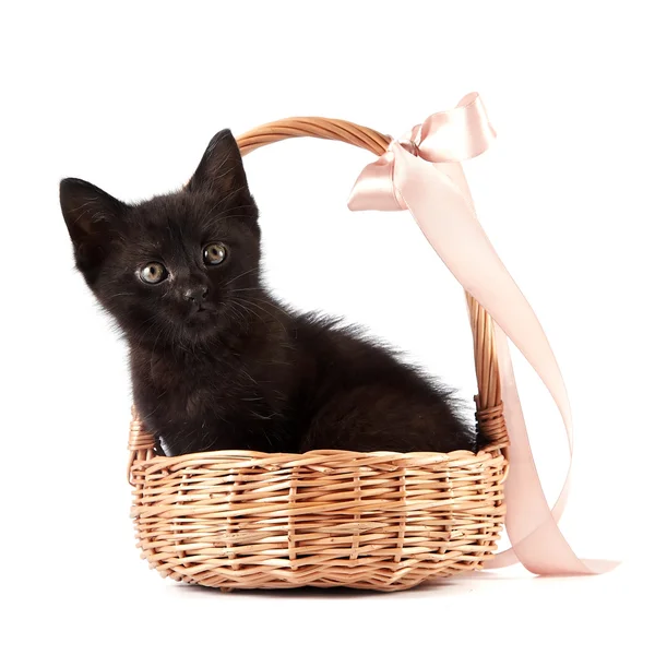 Black kitten in a wattled basket with a ribbon — Stock Photo, Image