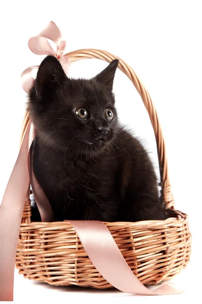Черный котенок в плетеной корзине с лентой — стоковое фото