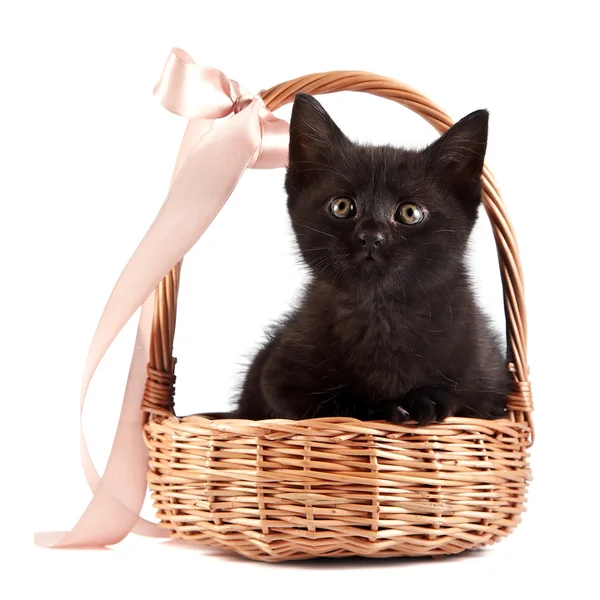 Black kitten in a wattled basket with a ribbon — Stock Photo, Image