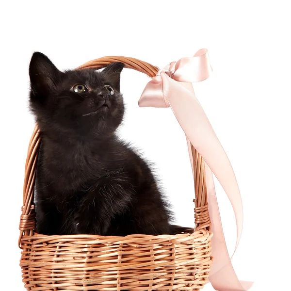 Black kitten in a wattled basket with a ribbon — Stock Photo, Image