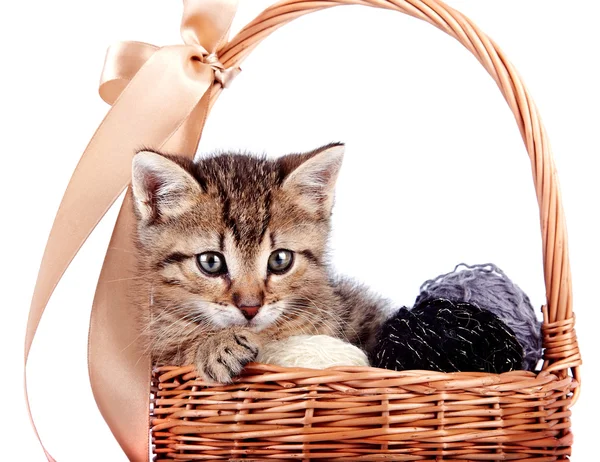 Striped kitten in a basket with woolen balls — Stock Photo, Image