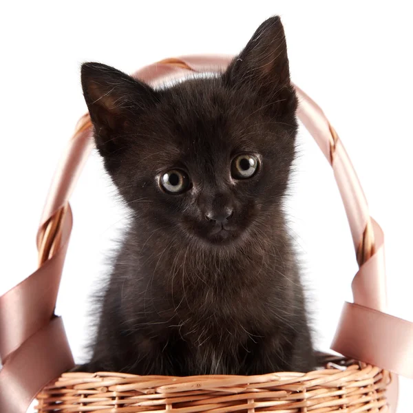 Gatinho preto em uma cesta Aepypodius com uma fita — Fotografia de Stock