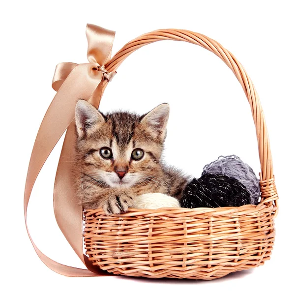 羊毛のボールとバスケットのストライプの子猫 — ストック写真
