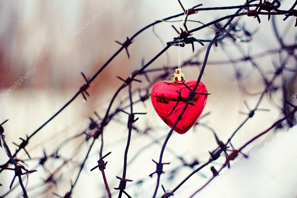 Heart and barbed wire
