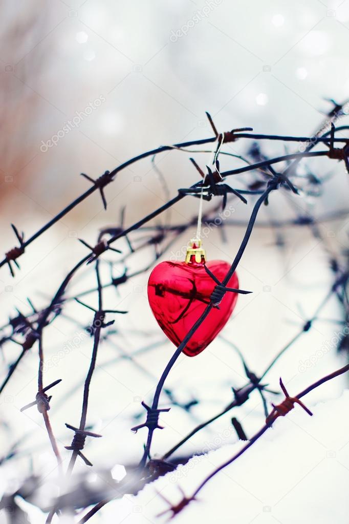 Red heart and barbed wire.