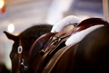 ile stirrups eyer