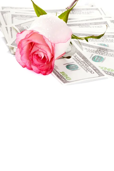 Flowers and money — Stock Photo, Image
