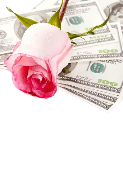 Flowers and money — Stock Photo, Image