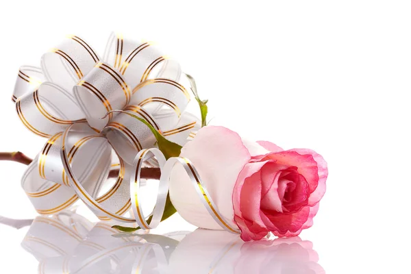 Rose and elegant bow. — Stock Photo, Image