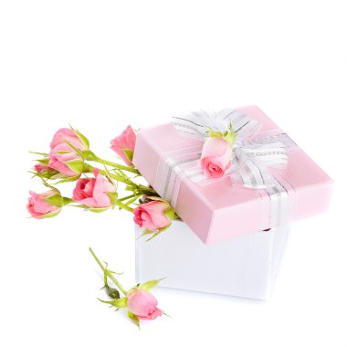 gül hediye kutusunda bir yay ile.