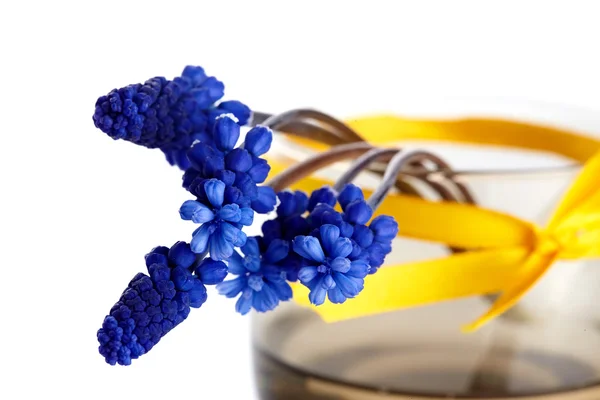 Blue hyacinths in a vase with a yellow tape. — Stock Photo, Image