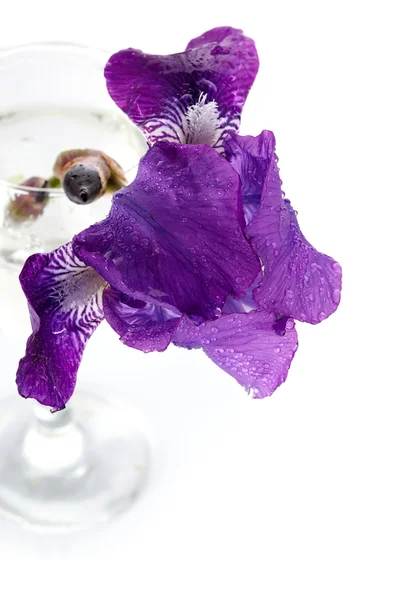 ガラスでバイオレット アイリスの花. — ストック写真