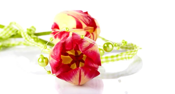 Tulips and green beads. — Stock Photo, Image