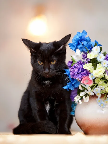 The angry black cat sits near a vase with the flowers. — Stock Photo, Image