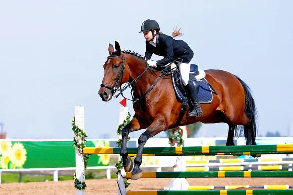 Desporto equestre . — Fotografia de Stock