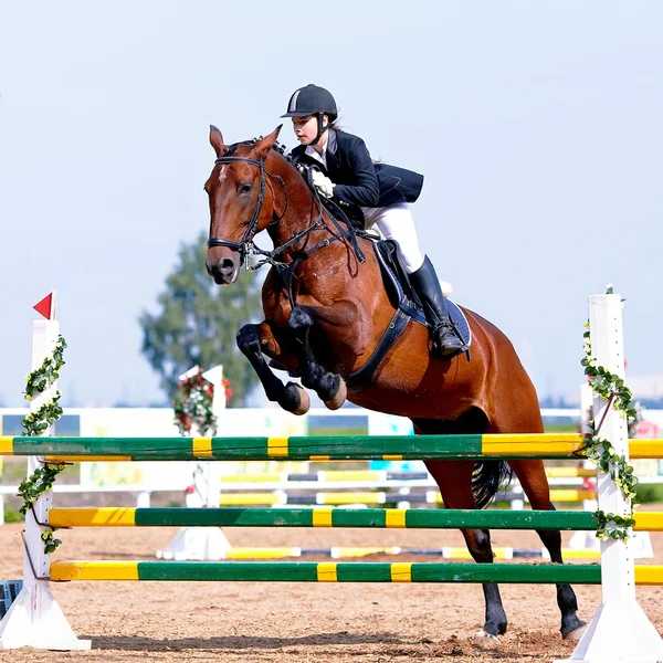 Competiciones del deporte ecuestre. — Foto de Stock